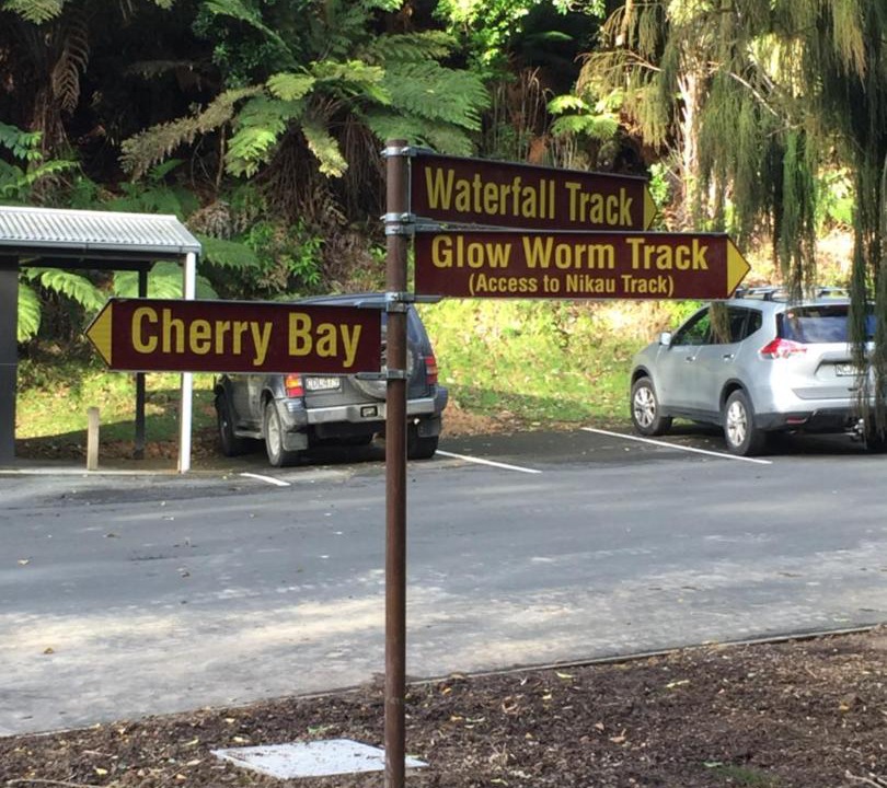 Photo of Others in Lower Kaimai
