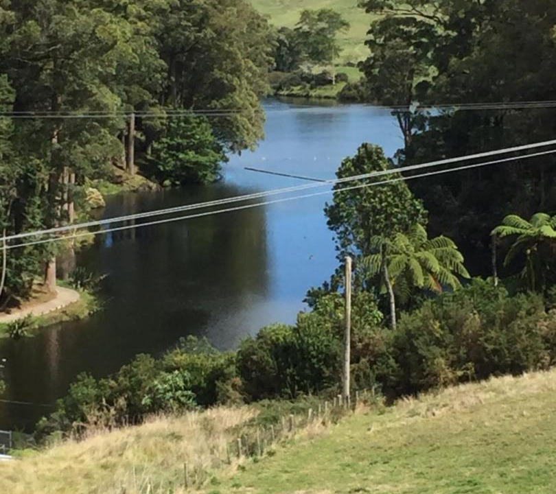 Photo of Others in Lower Kaimai