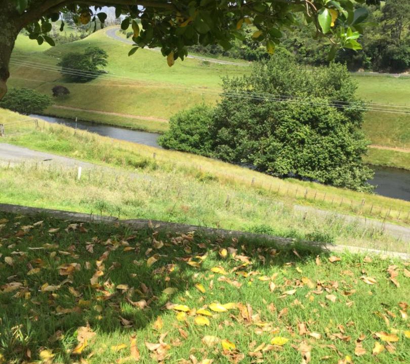 Photo of Others in Lower Kaimai