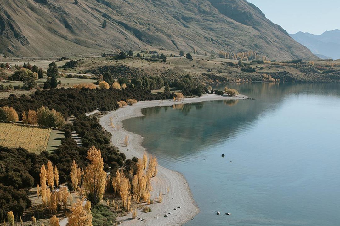 Photo of Others in Wanaka