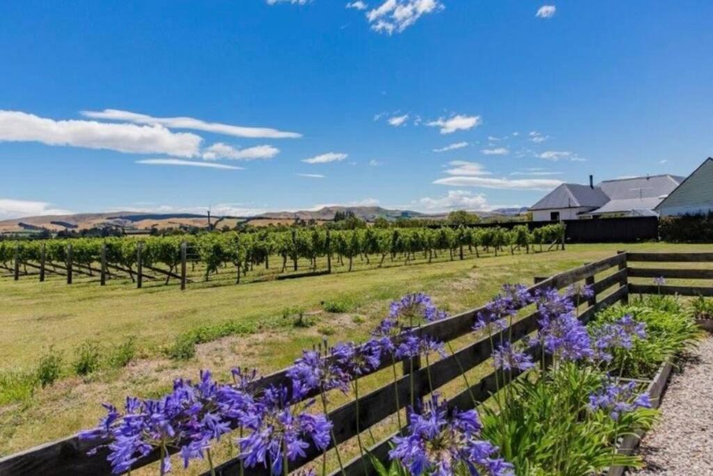 Photo of Others in Waipara