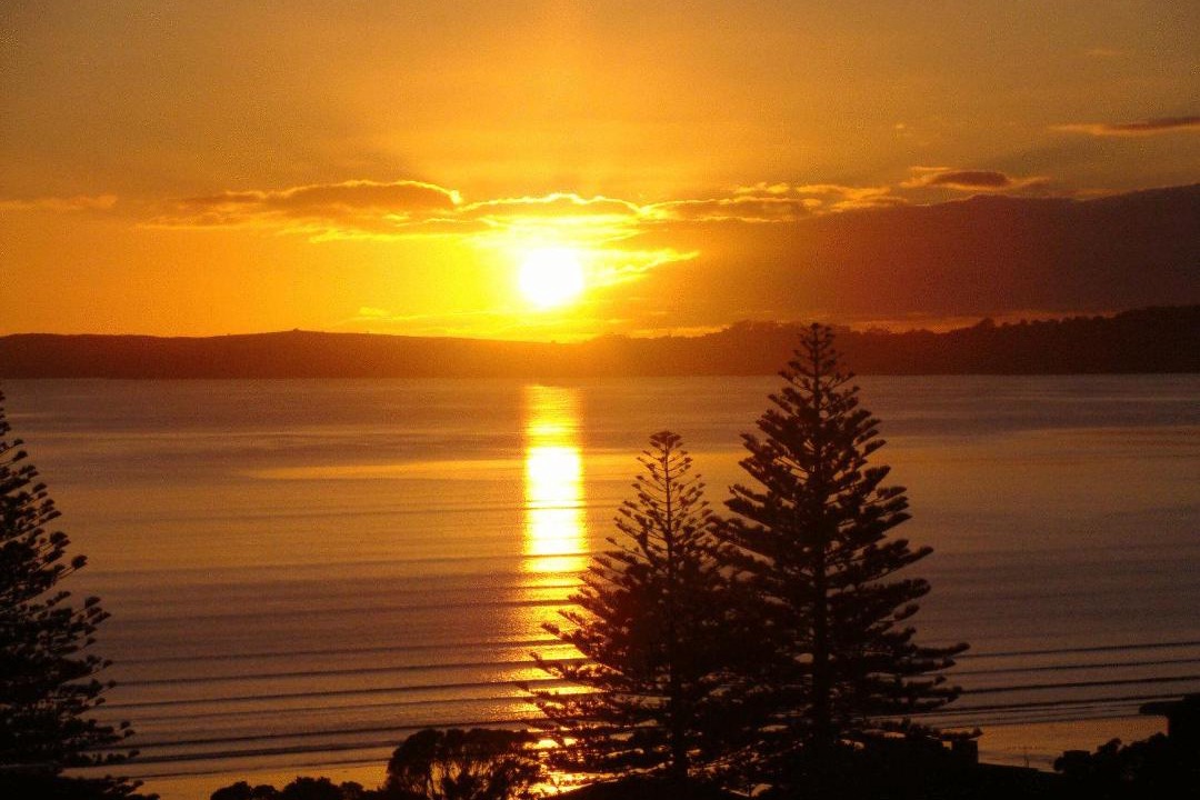 Photo of Others in Orewa