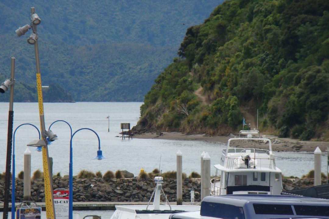 Photo of Others in Picton