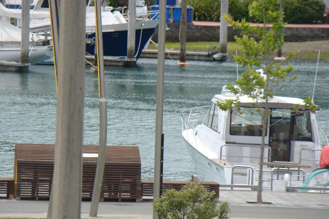 Photo of Others in Picton