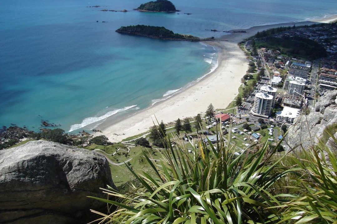Photo of Others in Mount Maunganui