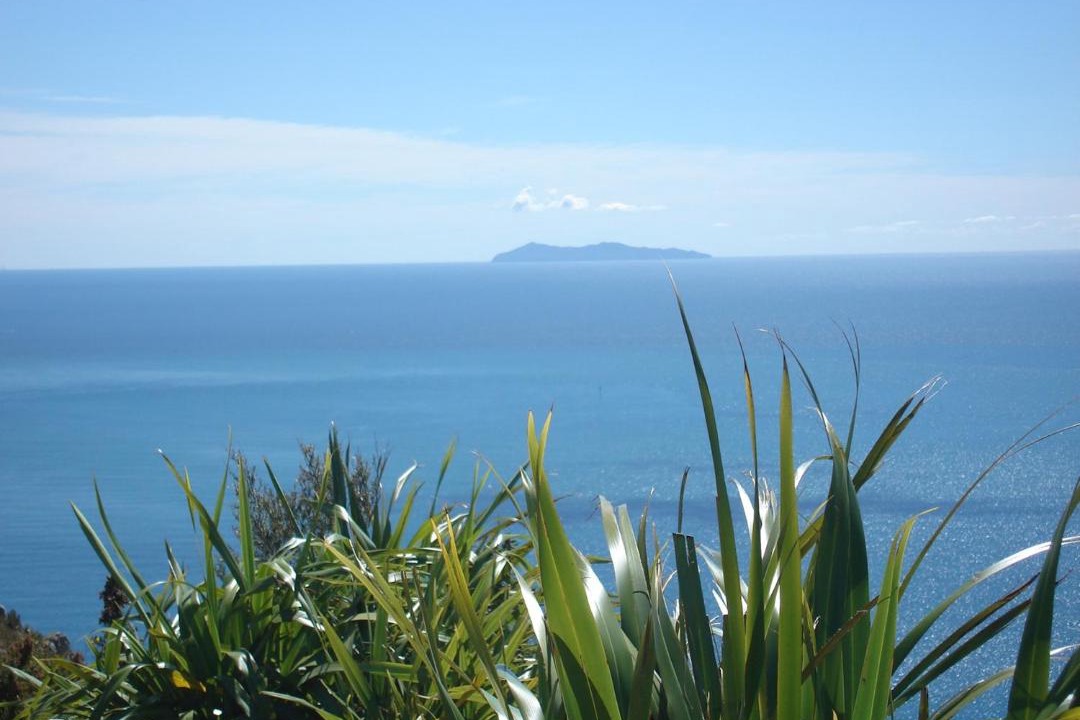 Photo of Others in Mount Maunganui