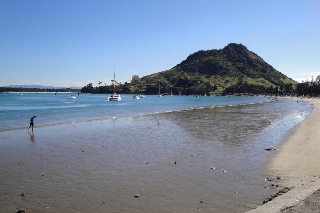 Photo of Others in Mount Maunganui