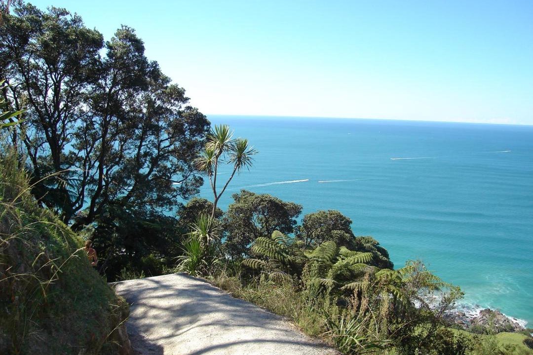 Photo of Others in Mount Maunganui