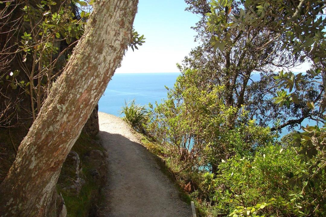 Photo of Others in Mount Maunganui
