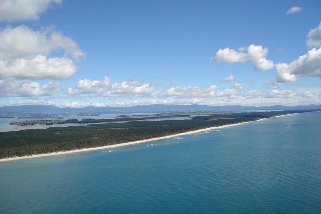 Photo of Others in Mount Maunganui