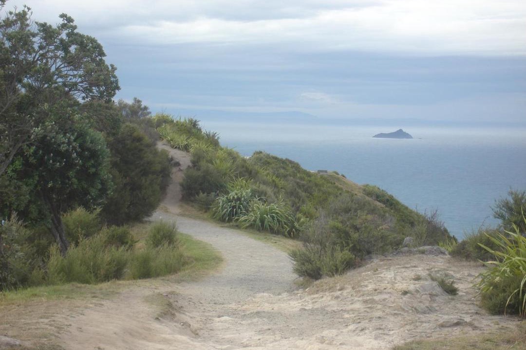 Photo of Others in Mount Maunganui