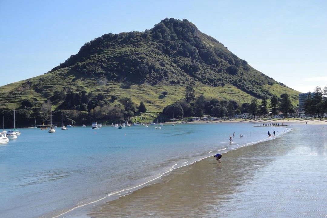 Photo of Others in Mount Maunganui