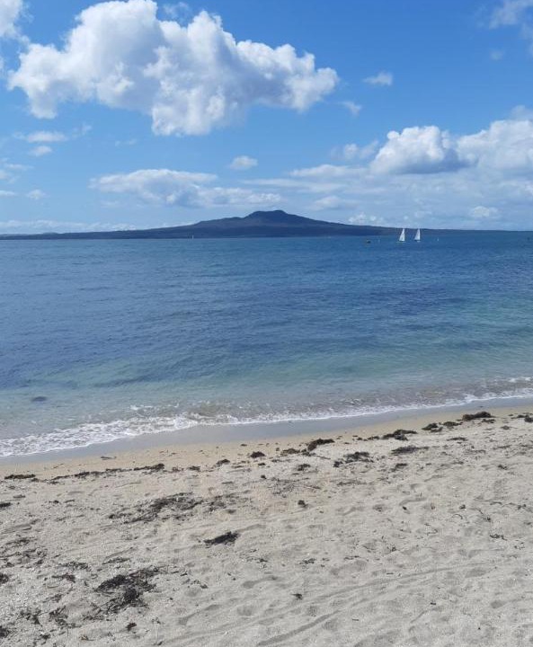Photo of Others in Takapuna