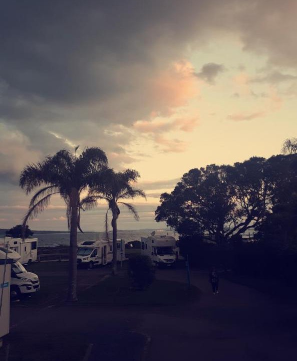 Photo of Others in Takapuna