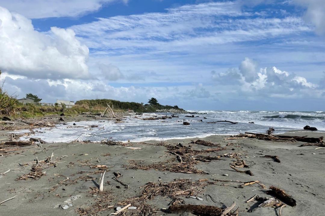 Photo of Others in Hokitika