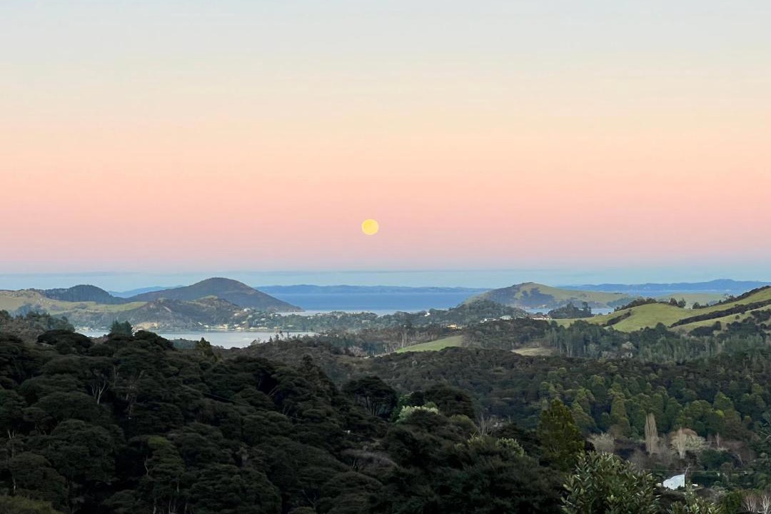 Photo of Others in Coromandel