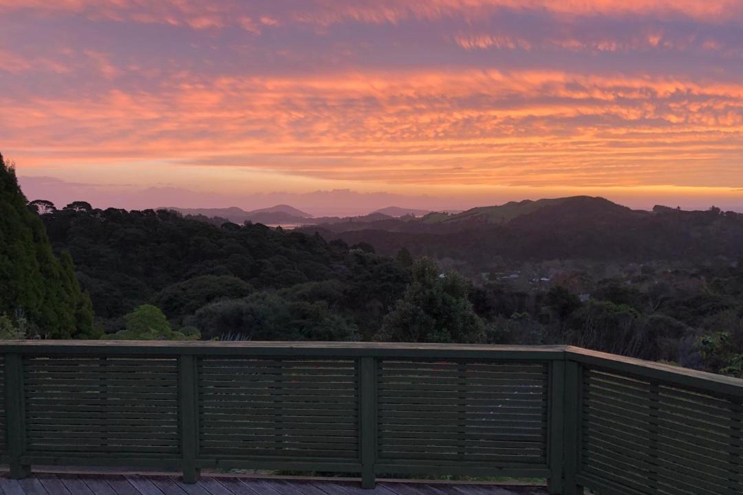 Photo of Others in Coromandel