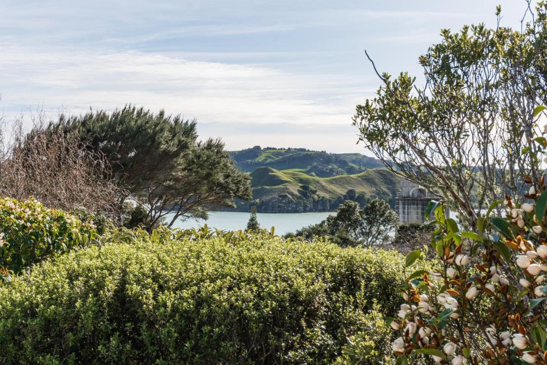 Photo of Others in Raglan
