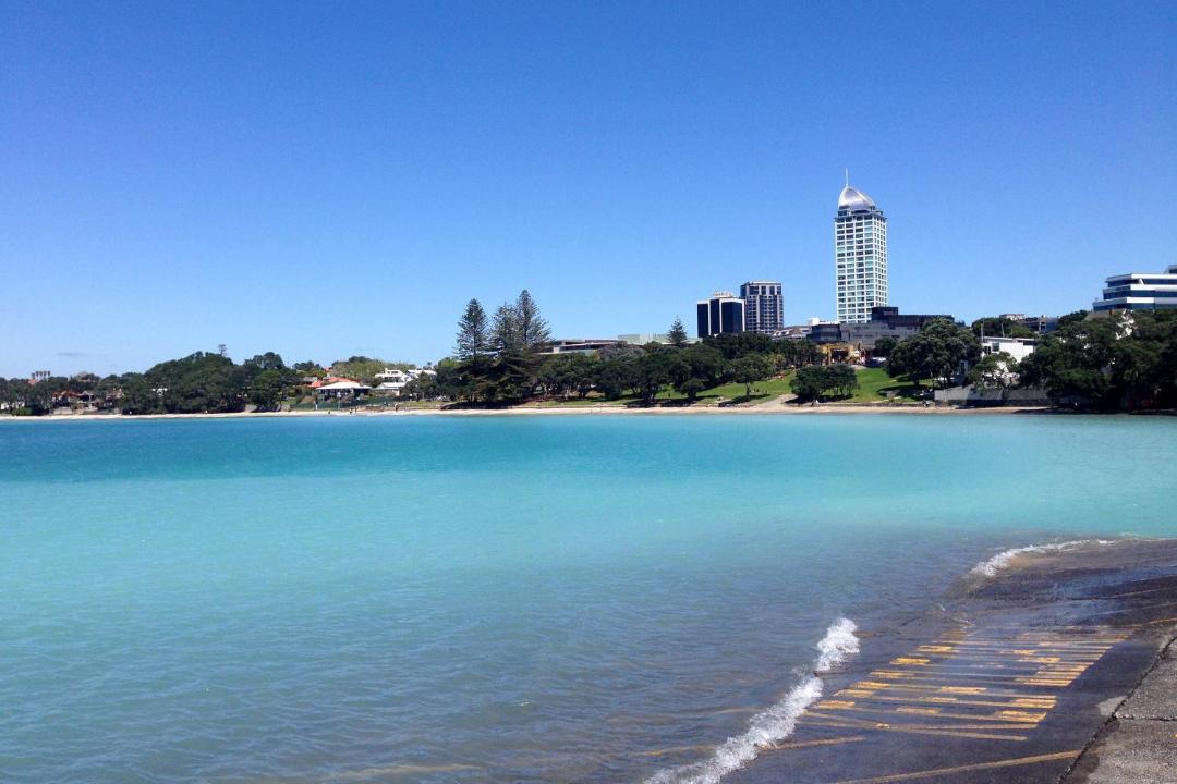 Photo of Others in Takapuna