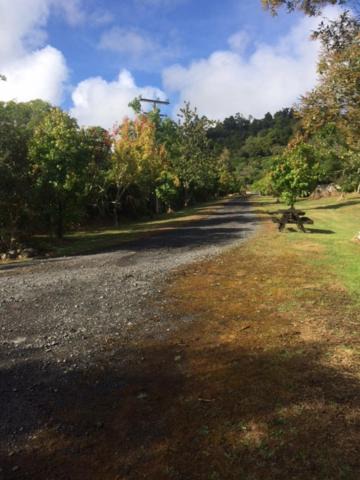 Photo of Others in Raurimu
