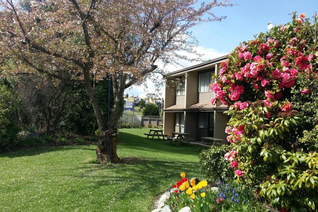 Photo of Others in Wanaka