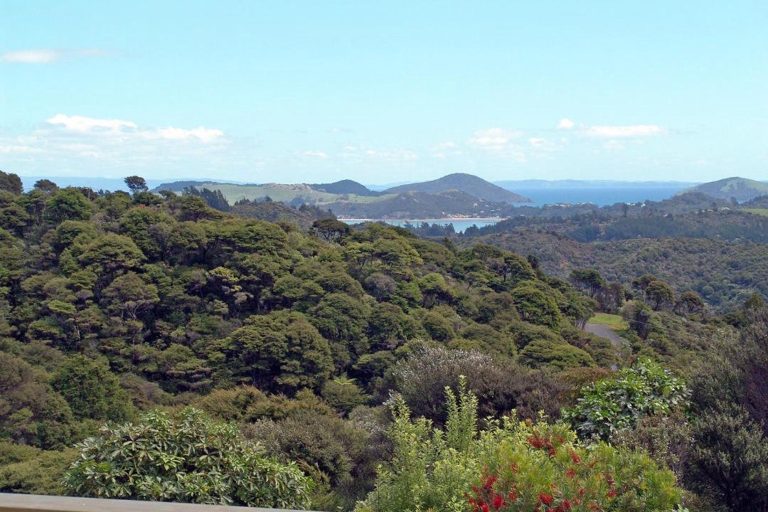 Photo of Others in Coromandel