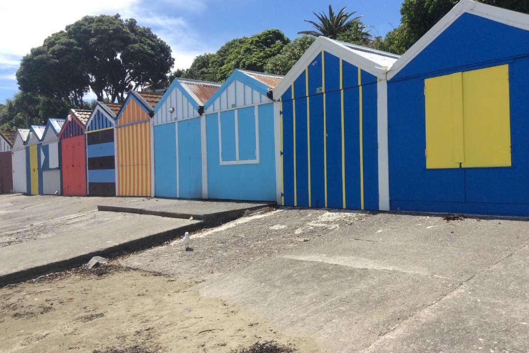 Photo of Others in Titahi Bay
