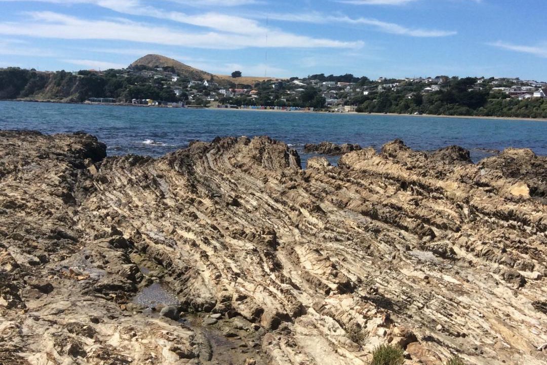 Photo of Others in Titahi Bay
