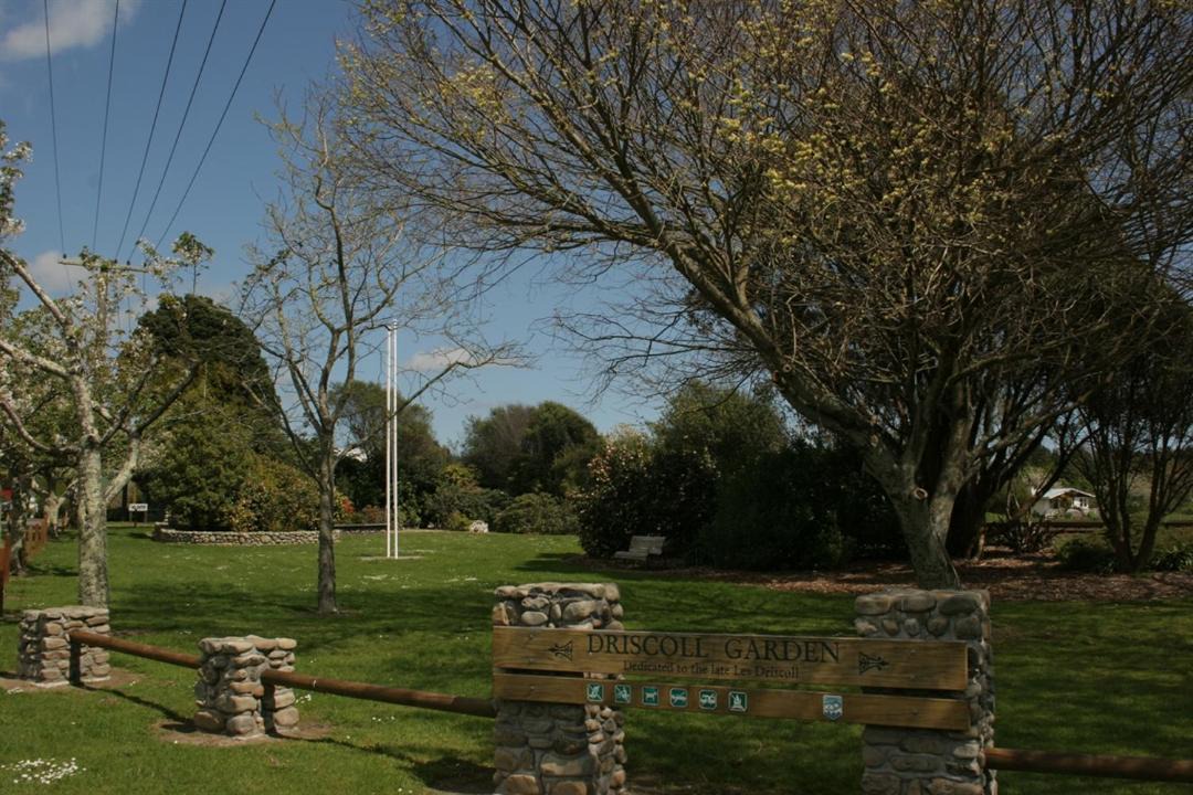 Photo of Others in Manakau