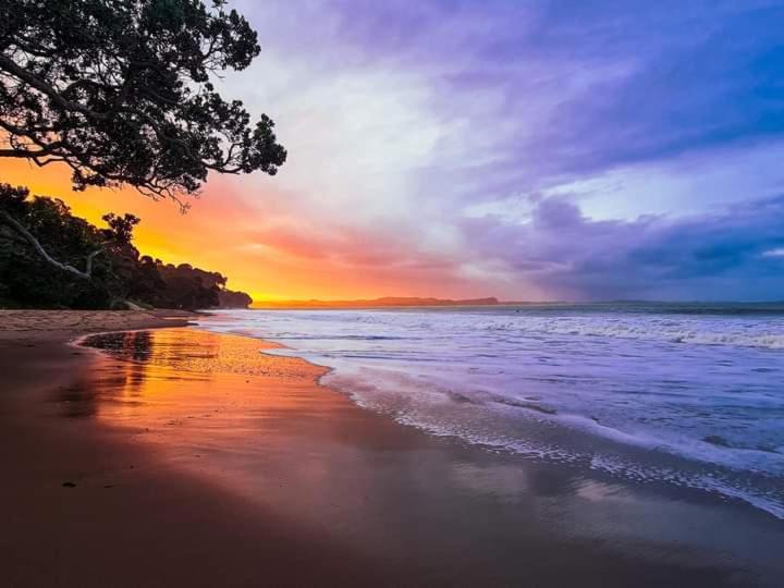 Photo of Others in Stanmore Bay