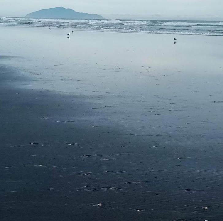 Photo of Others in Manakau