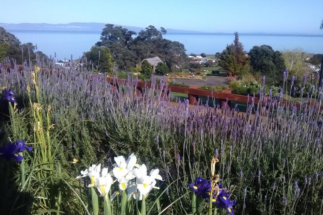 Photo of Others in Te Puru