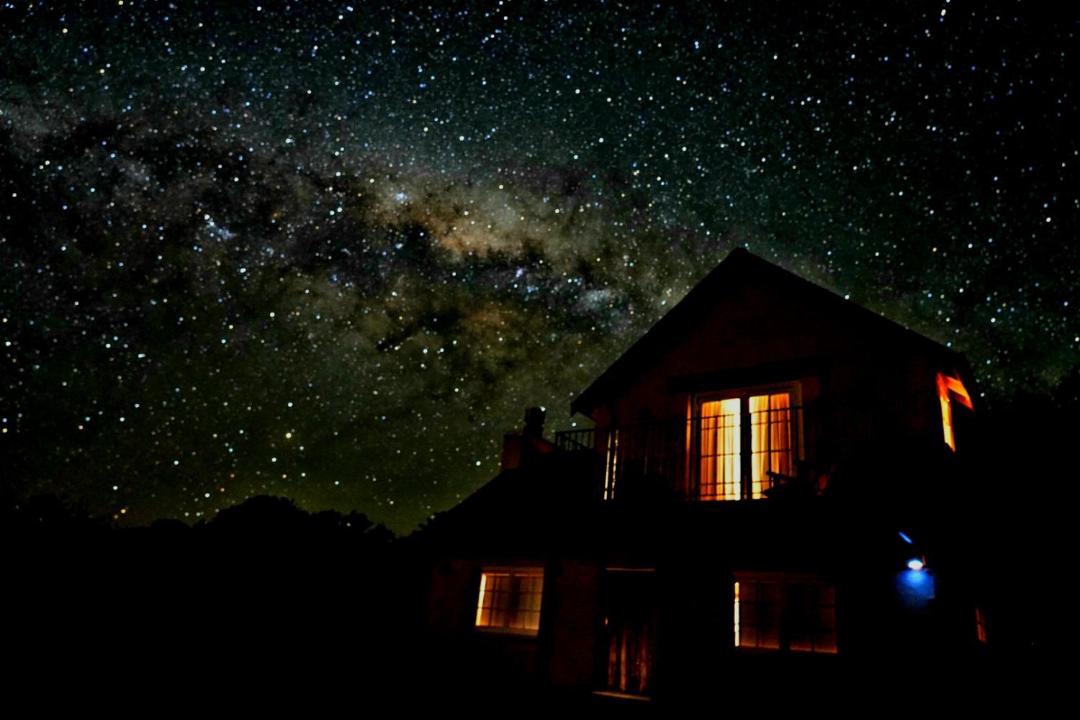 Photo of Others in Kaikoura
