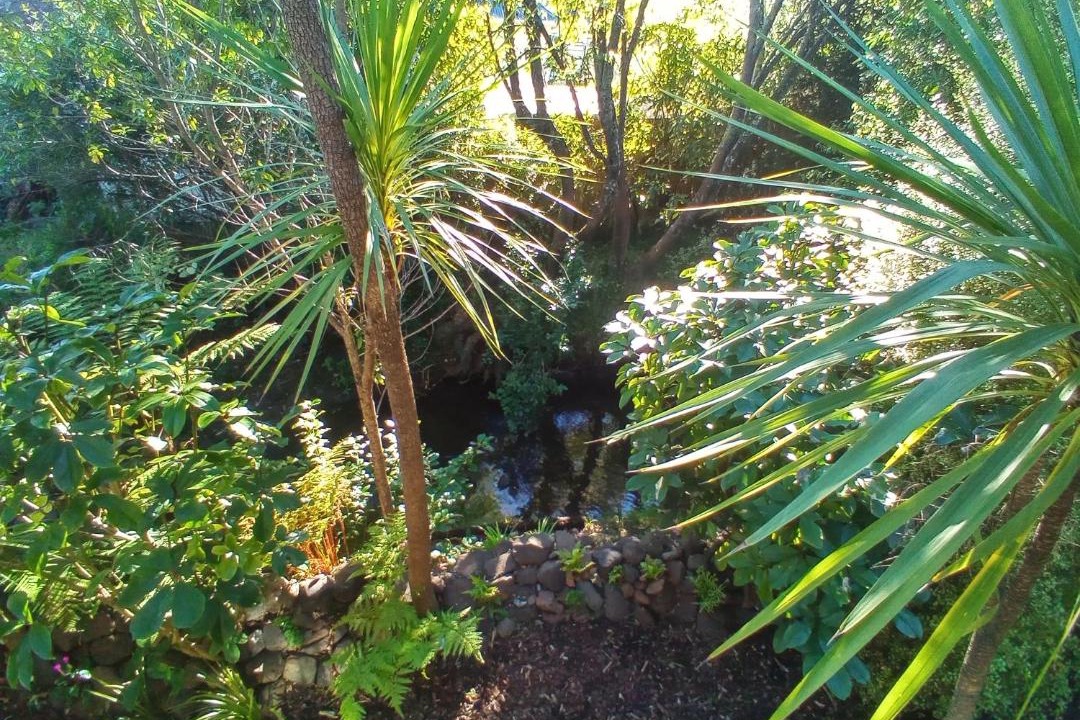 Photo of Others in Akaroa