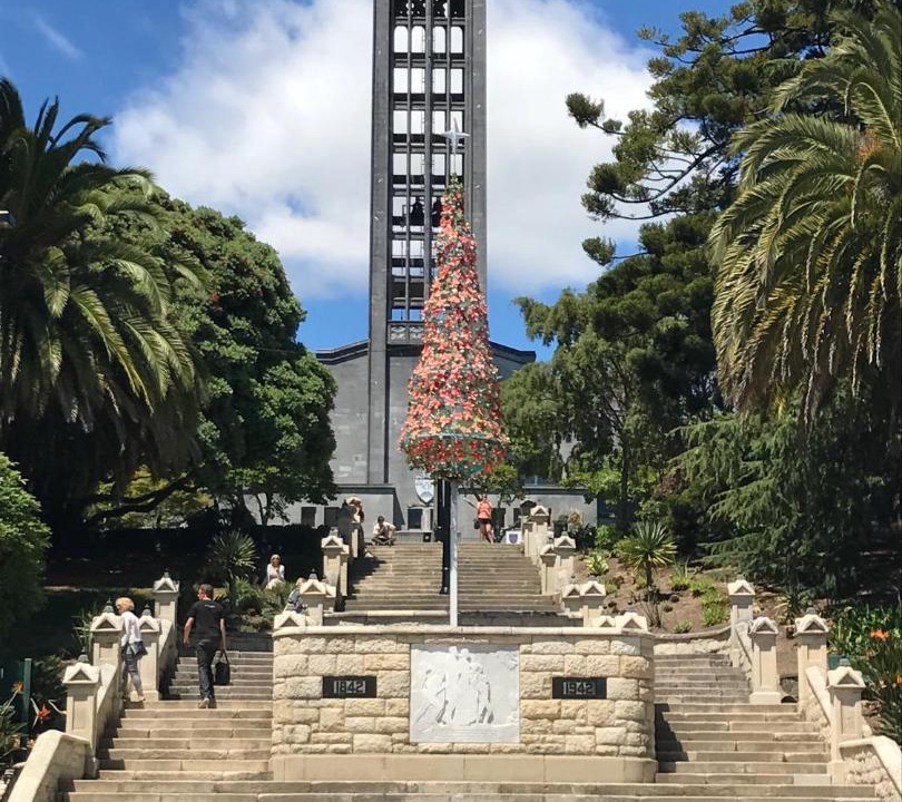 Photo of Others in Nelson