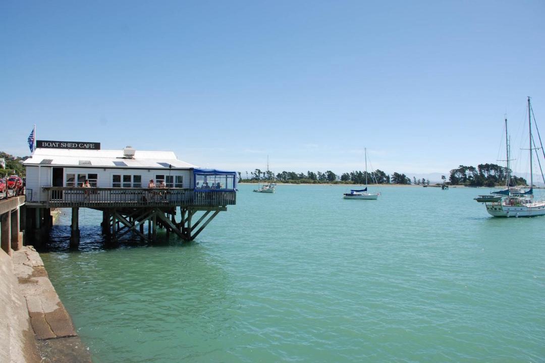 Photo of Others in Nelson