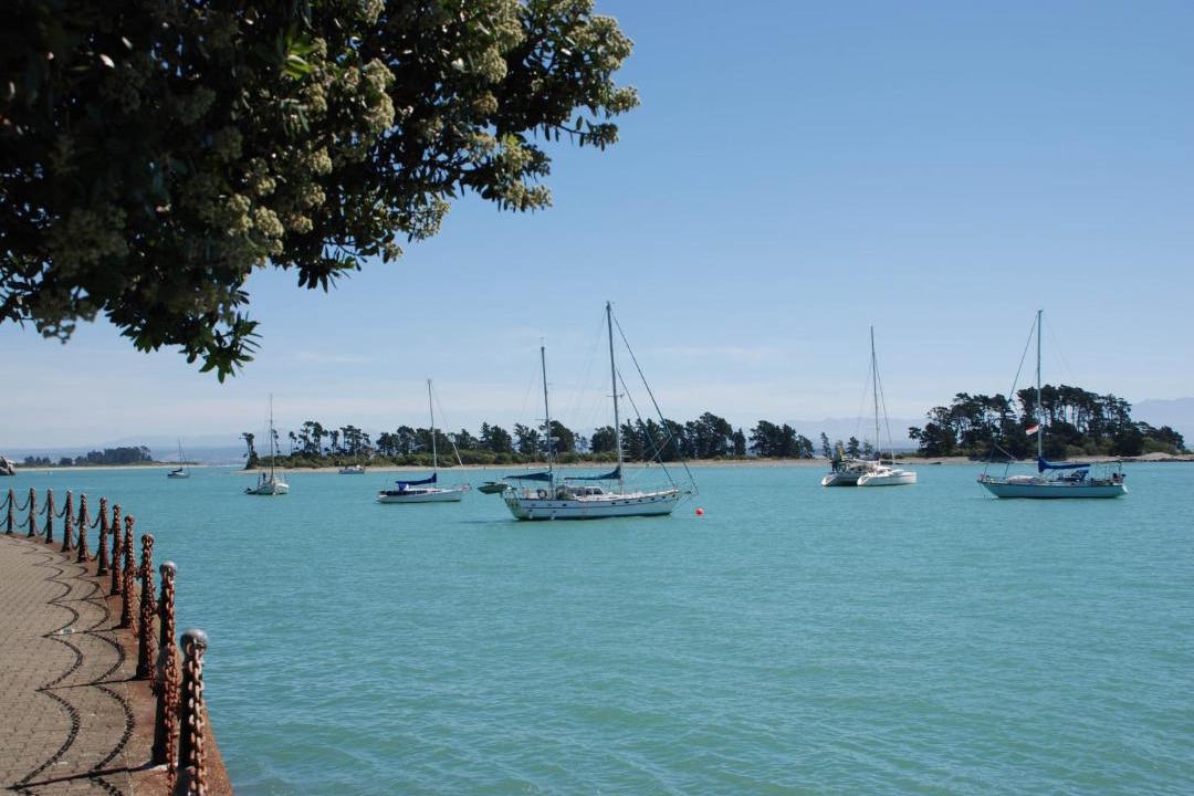 Photo of Others in Nelson