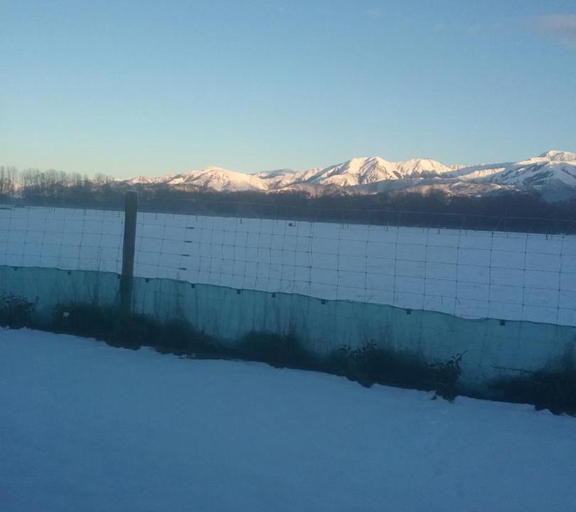 Photo of Others in Hanmer Springs