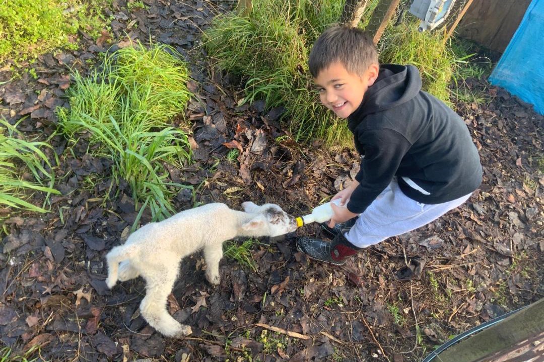 Photo of Others in Waihi
