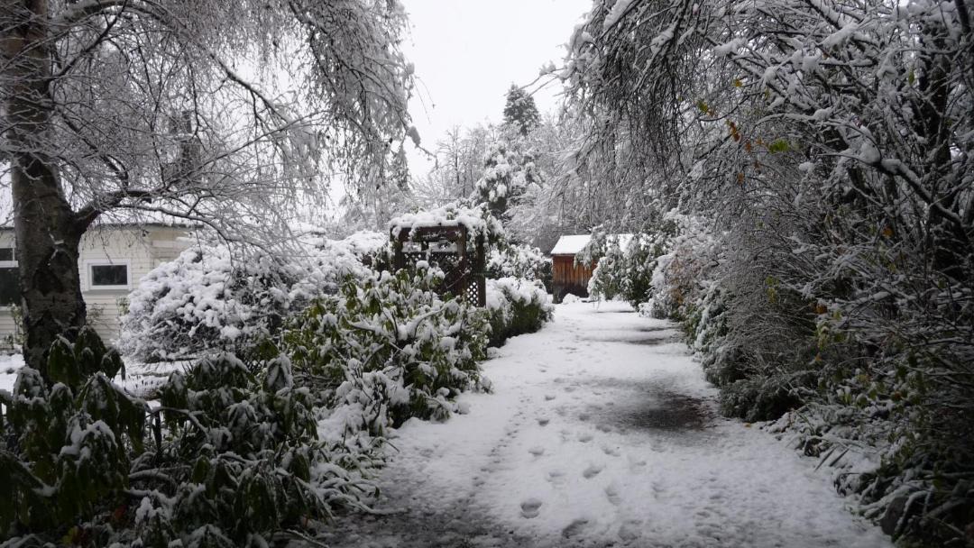 Photo of Others in Hanmer Springs