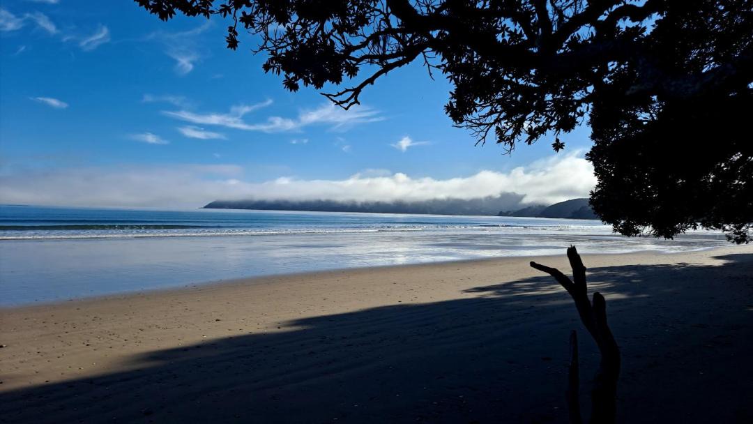 Photo of Others in Coopers Beach