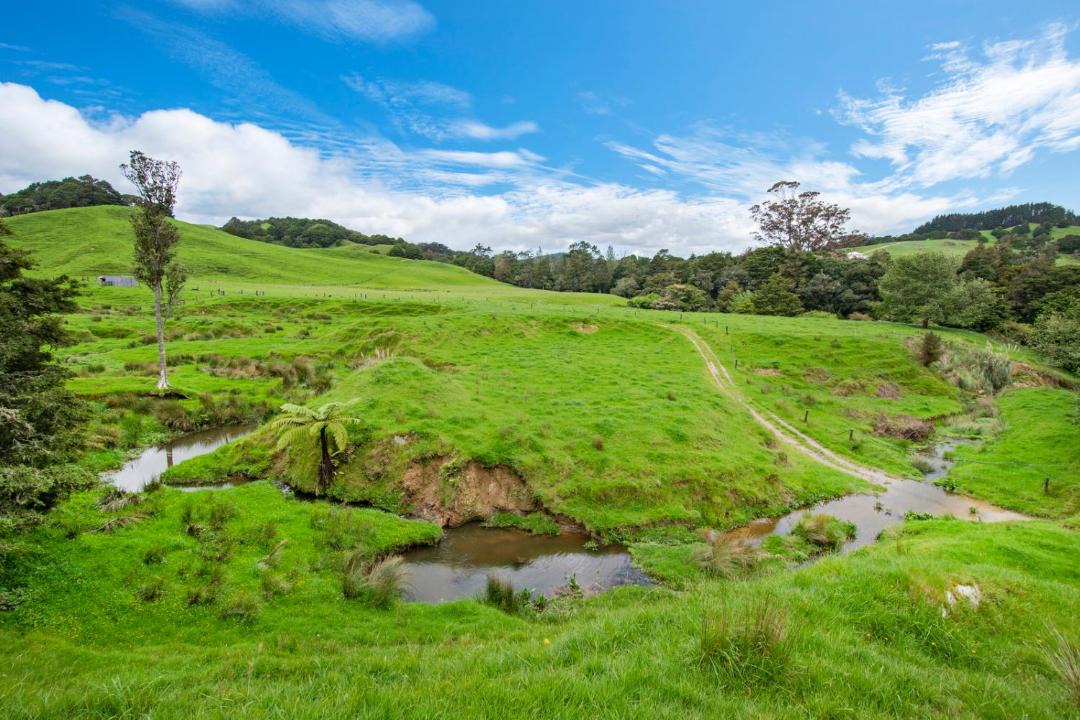 Photo of Others in Paparoa