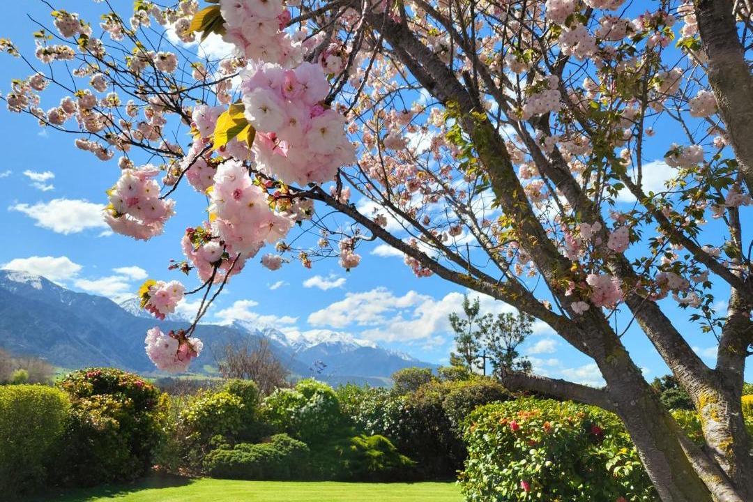 Photo of Others in Kaikoura