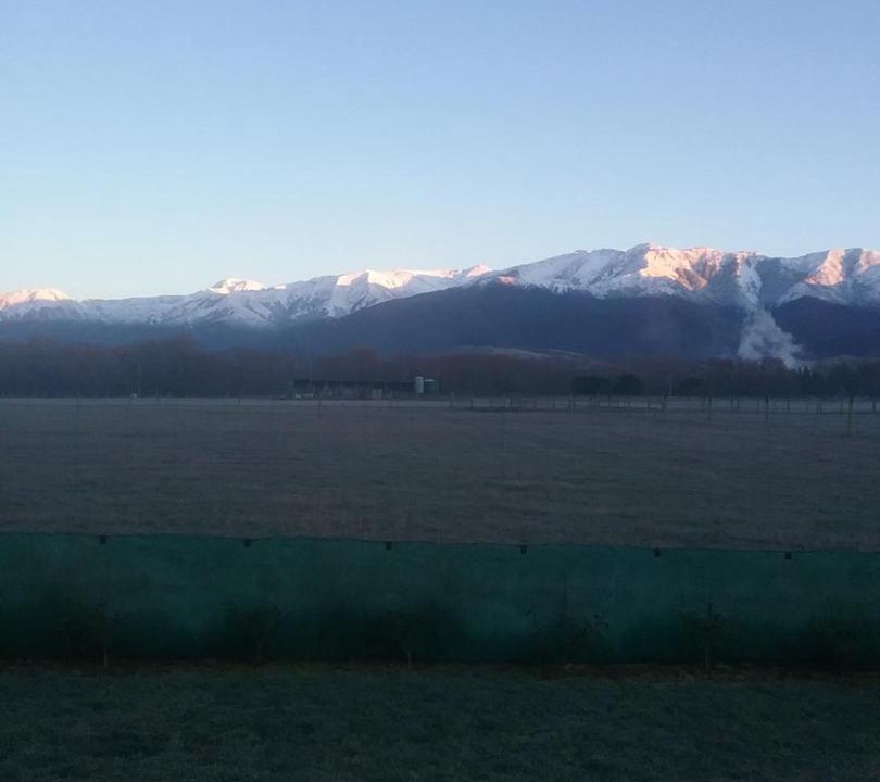 Photo of Others in Hanmer Springs