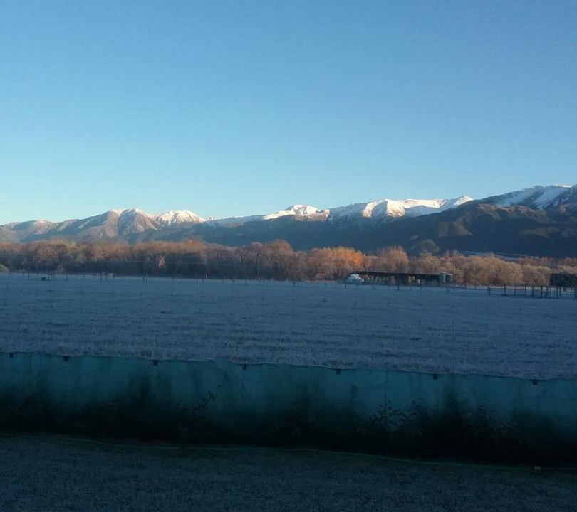 Photo of Others in Hanmer Springs