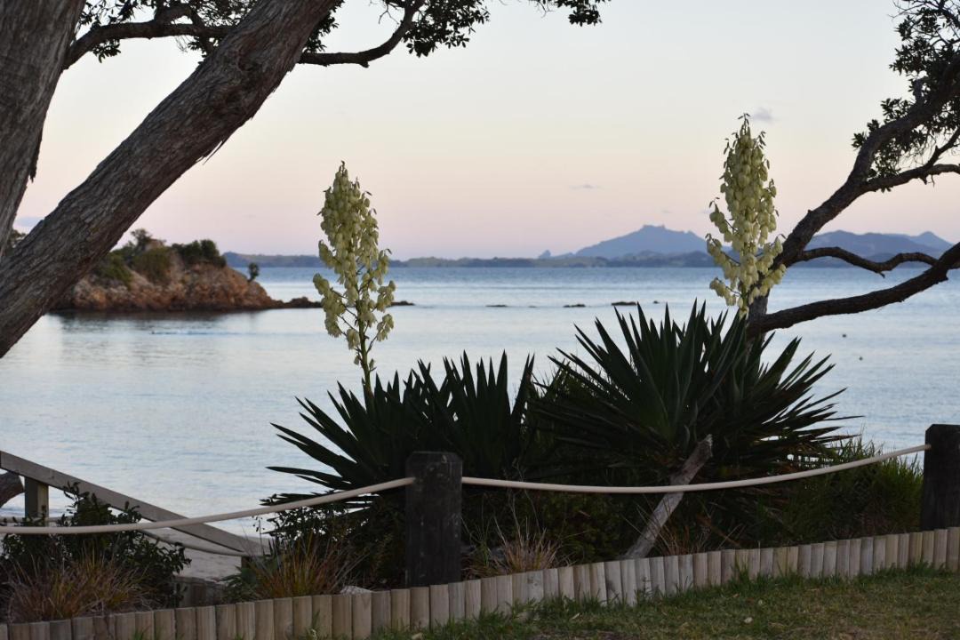 Photo of Others in Tutukaka