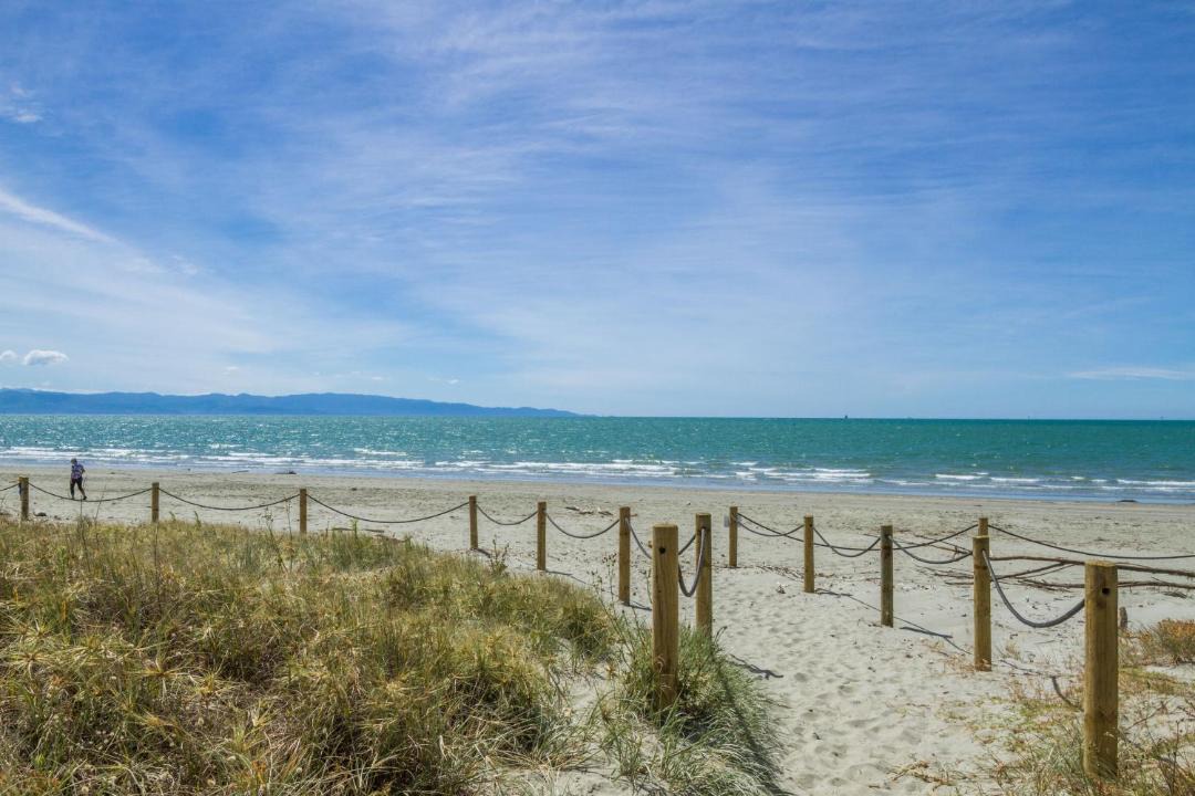 Photo of Others in Tahunanui