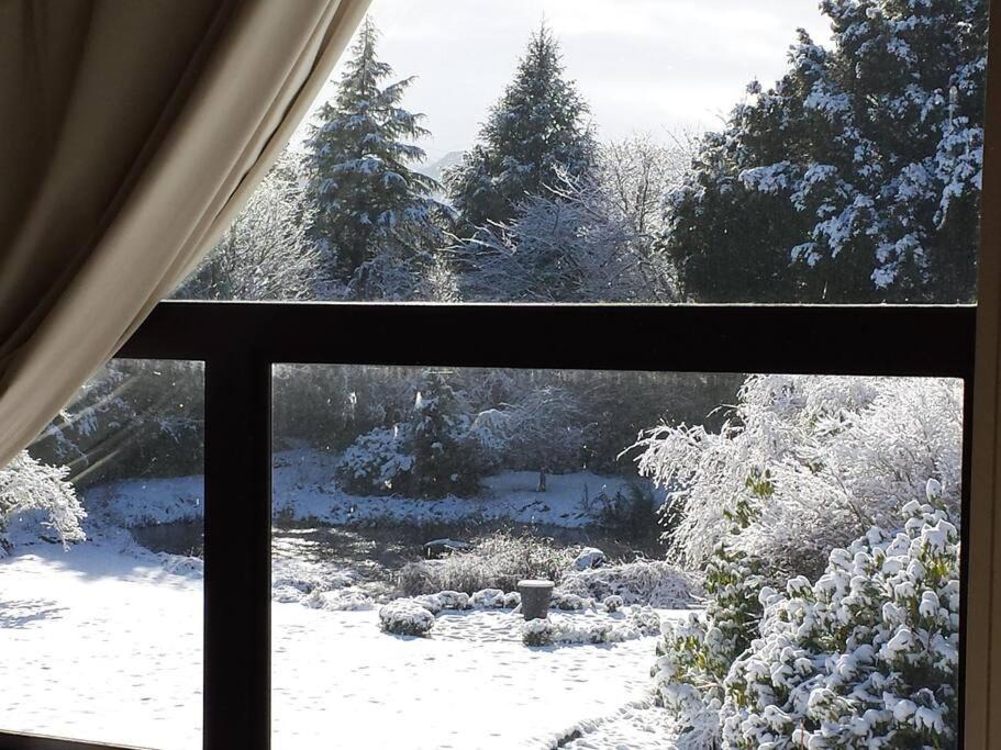 Photo of Others in Ohakune