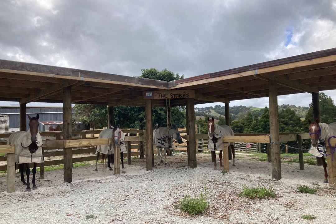 Photo of Others in Paparoa