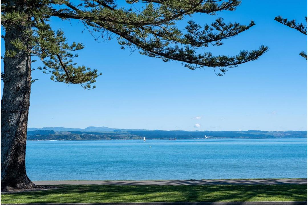 Photo of Outdoor in Ahuriri